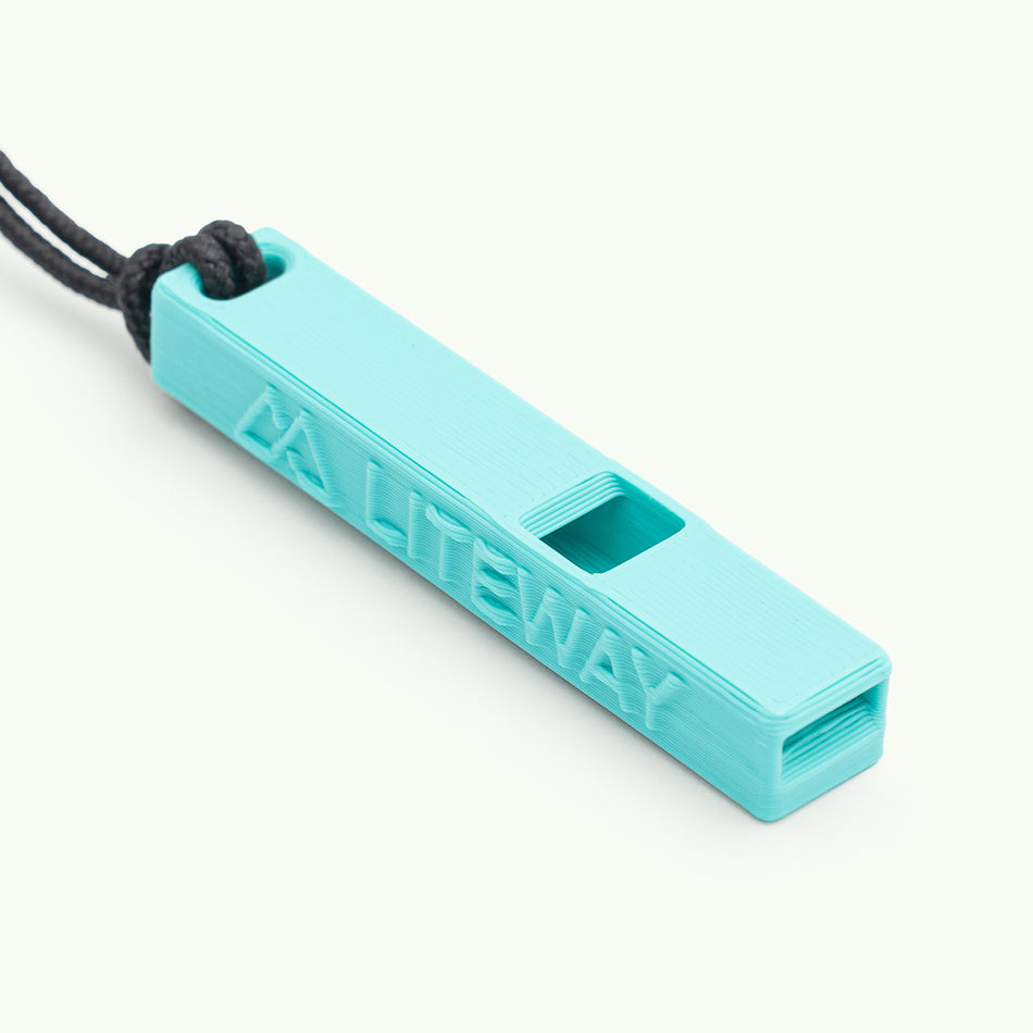 Keychain "WHISTLE"