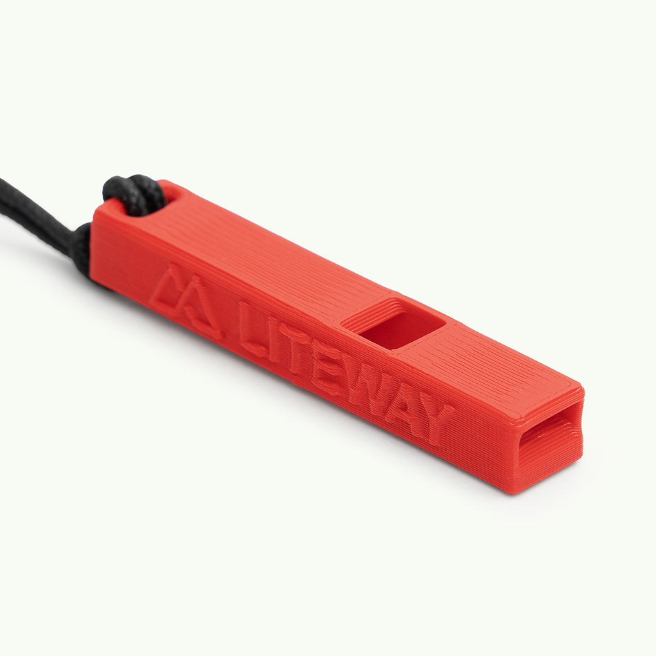 Брелок "WHISTLE"