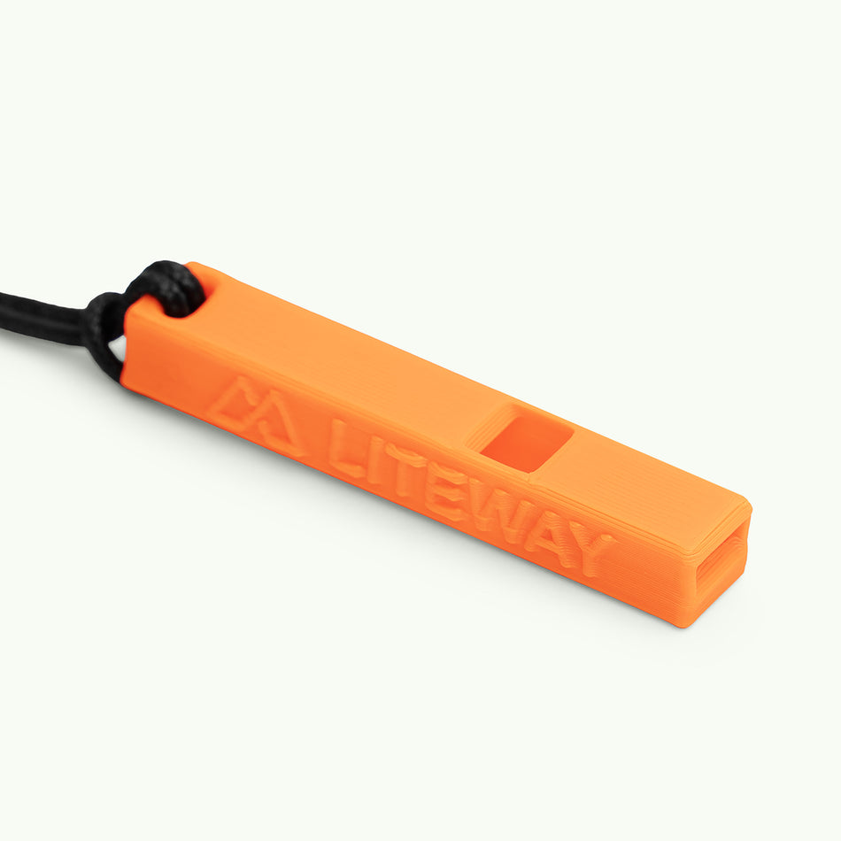 Брелок "WHISTLE"