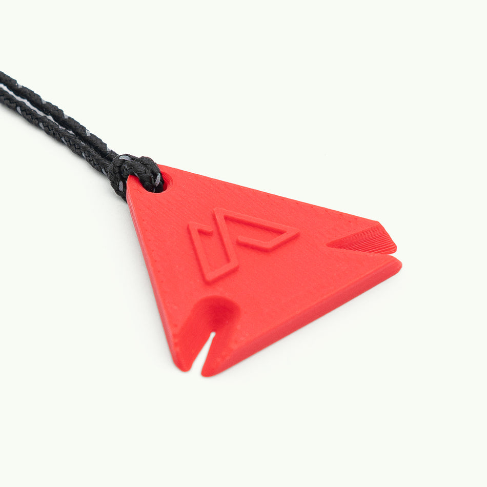 Keychain "TICK REMOVER TOOL"