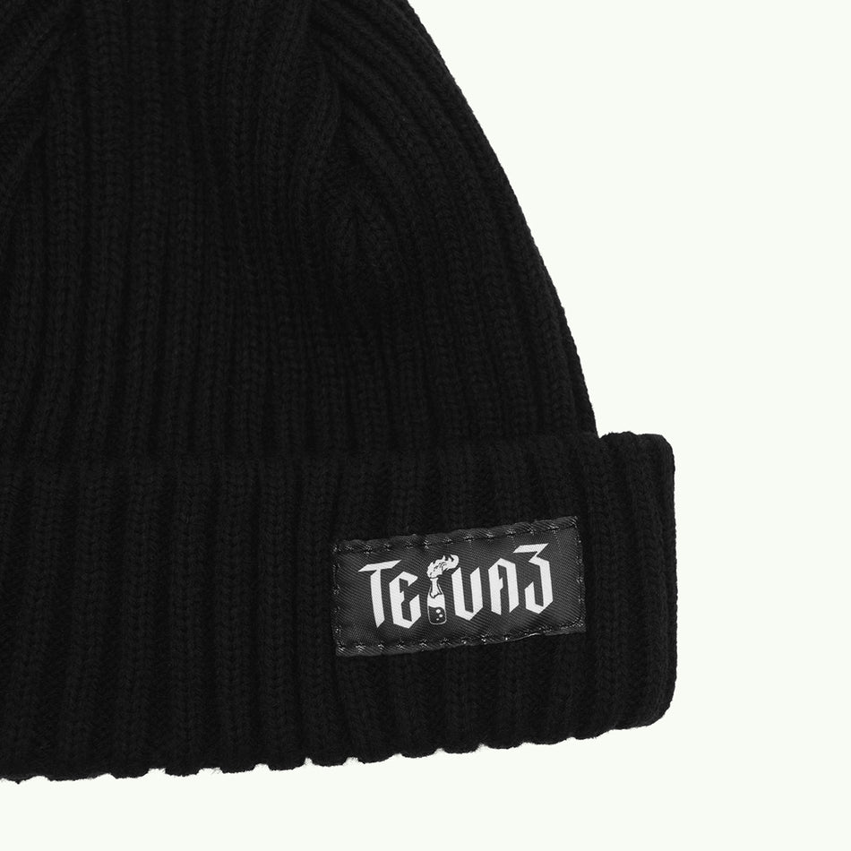Hat "Teivaz Beanie" 