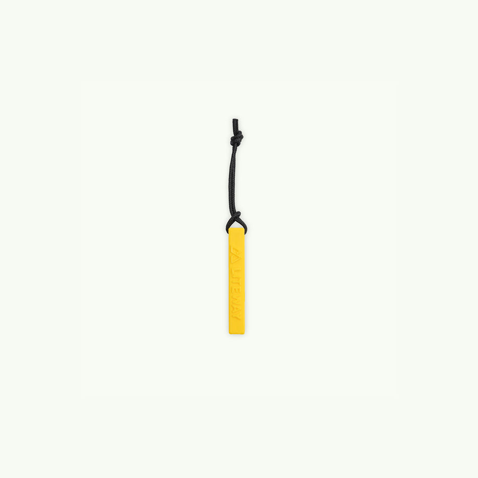 Keychain "WHISTLE"