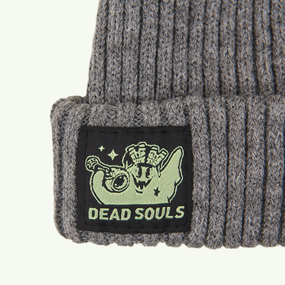 Hat "DSG beanie"