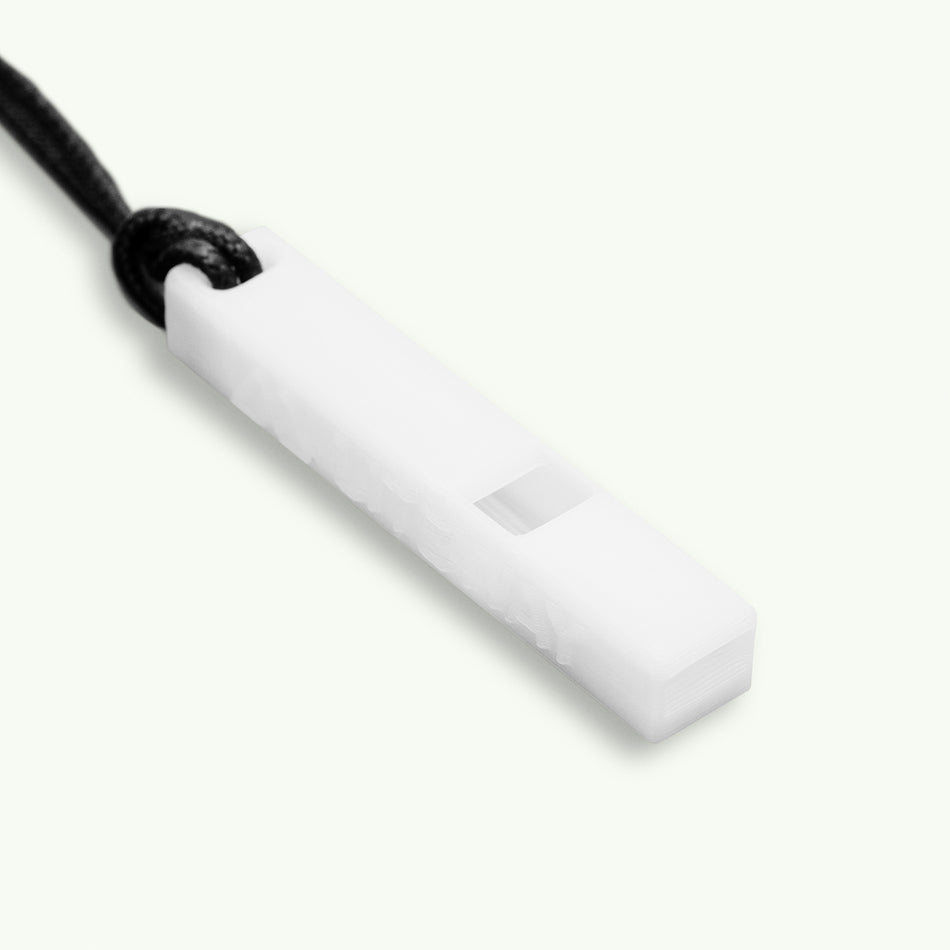 Брелок "WHISTLE"